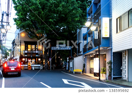 [Tokyo] Springtime in Zoshigaya: Omotesando Street leading to Kishimojin Shrine in the evening 138595692
