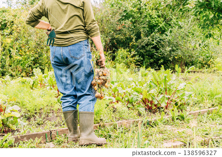 Elder woman standing in backyard garden, holding freshly picked onions and a trowel, enjoying sustainable farming. A conscious green lifestyle, growing food with your own hands on the ground Elder woman standing in backyard garden, holding freshly picked onions and a trowel, enjoying sustainable farming. A conscious green lifestyle, growing food with your own hands on the ground 138596327