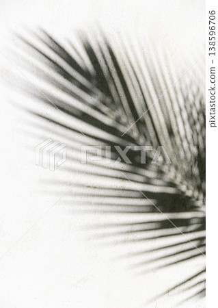 Black white palm leaf shadow soft sand, idyllic abstract tropical summer pattern artistic wallpaper Black white palm leaf shadow soft sand, idyllic abstract tropical summer pattern artistic wallpaper 138596706