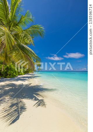 Breathtaking tropical beach island paradise majestic scenic nature, stunning summer background dreamy turquoise ocean pristine white sand, gorgeous radiant landscape wallpaper vacation travel Breathtaking tropical beach island paradise majestic scenic nature, stunning summer background dreamy turquoise ocean pristine white sand, gorgeous radiant landscape wallpaper vacation travel 138596714