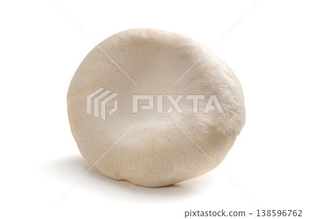 Large Shinshu abalone mushroom 138596762
