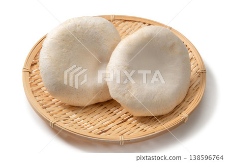 Large Shinshu abalone mushroom Large Shinshu abalone mushroom 138596764