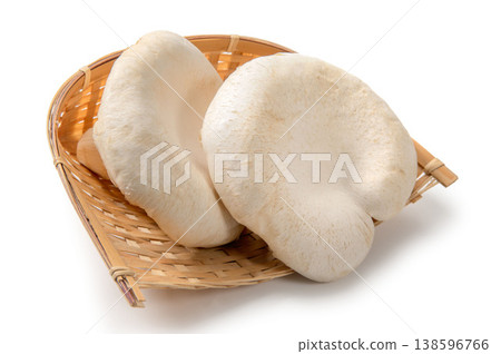 Large Shinshu abalone mushroom Large Shinshu abalone mushroom 138596766