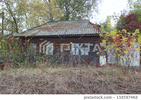Nature Restoration in village. Abandoned house in the bush. Old rural house Nature Restoration in village. Abandoned house in the bush. Old rural house 138597468