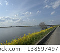 春意盎然的湖畔油菜花盛開，天空湛藍晴朗。 138597497
