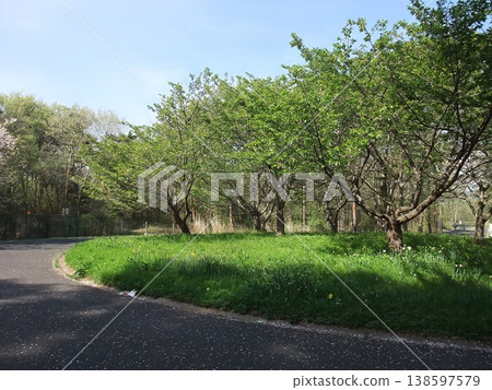 茨城縣常陸那珂市日立海濱公園自行車道(大沼市松渡市) 茨城縣常陸那珂市日立海濱公園自行車道(大沼市松渡市) 138597579