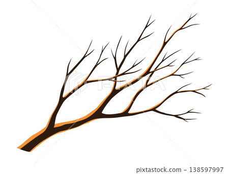 Watercolor hand drawn tree branche. Colorful stick and twig on a white background Watercolor hand drawn tree branche. Colorful stick and twig on a white background 138597997