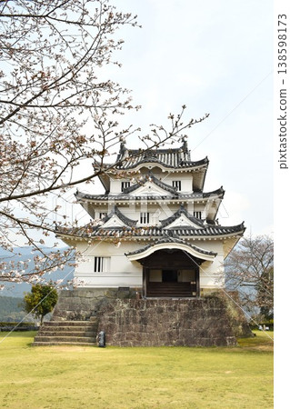 宇和島城和櫻花 138598173