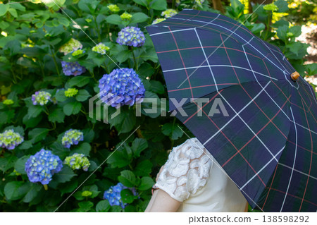 繡球花與傘：雨季漫步的景象，初夏的畫面。 138598292
