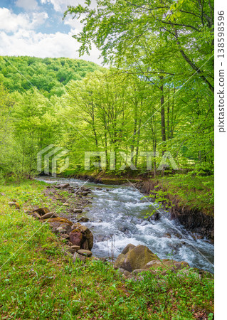 landscape in mountains, forest and a river in front. beautiful view in spring. fresh water in the beech forest of carpathian mountains. cloudy weather, rocky shore 138598596