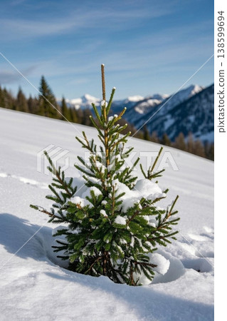 雪地里的希望之树 寒冬中的绿色生机 138599694