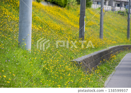 北海道棒球場附近的景色 北海道棒球場附近的景色 138599937