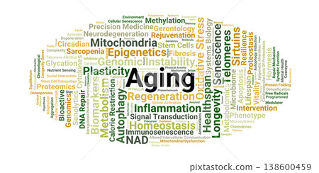 Biological Aging Word Cloud. Core Concepts in Longevity Science and Cellular Senescence Biological Aging Word Cloud. Core Concepts in Longevity Science and Cellular Senescence 138600459