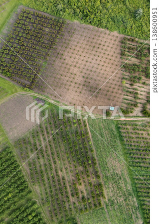 Aerial view of agricultural land. Valley of fruit farms. 138600951