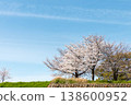 [Copy Space] Cherry blossoms in full bloom and a refreshing blue sky: Spring on the Yodogawa riverbank 138600952