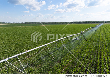 Aerial view of agricultural watering pivot irrigation system on a corn field 138600974