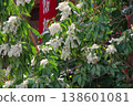 白色鮮花和簽語 138601081