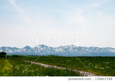 Early summer grasslands and snow-capped mountain ranges: Tokachi Mountain Range Early summer grasslands and snow-capped mountain ranges: Tokachi Mountain Range 138601398
