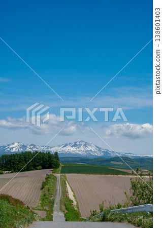 初夏高地和殘雪山脈 大雪山 初夏高地和殘雪山脈 大雪山 138601403