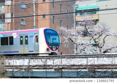 The first cherry blossom season for the 2000 series The first cherry blossom season for the 2000 series 138602795