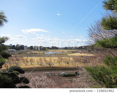 喜樂園，遠處是梅樹，茨城縣水戶市常磐町 138602962