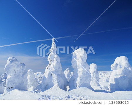 Zao's snow monster Zao's snow monster 138603015
