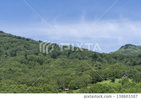 A plateau landscape enveloped in the blue sky and fresh greenery of early summer (Nakanojo Town, Gunma Prefecture) A plateau landscape enveloped in the blue sky and fresh greenery of early summer (Nakanojo Town, Gunma Prefecture) 138603387