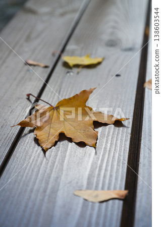 Dry maple leaf lying on wooden table outdoors. Dry maple leaf lying on wooden table outdoors. 138603544