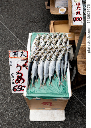 Fresh round herring caught in the Kuroshio Current Fresh round herring caught in the Kuroshio Current 138603676