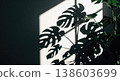 Sunlight streams through a window, casting bold shadows of a monstera plant on a wall, highlighting lush green leaves and creating a calm, minimalist indoor background 138603699