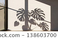 A creative nature backdrop with shadows from large monstera plant leaves on a light beige wall. A mockup template with tropical leaves and copy space. Minimalist interior. 138603700
