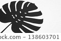 Close-up of a large tropical Monstera leaf shadow cast on a white wall. Evokes tropical vibes, nature, and minimalist interior design 138603701