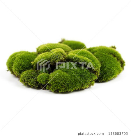 green moss texture isolated on white background, ideal for eco design, natural branding, sustainability concepts, and organic product visuals. 138603703