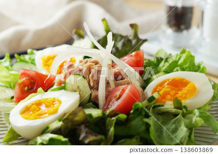 色彩繽紛的鮪魚沙拉 138603869