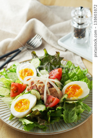 色彩繽紛的鮪魚沙拉 138603872