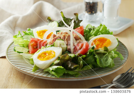 色彩繽紛的鮪魚沙拉 138603876
