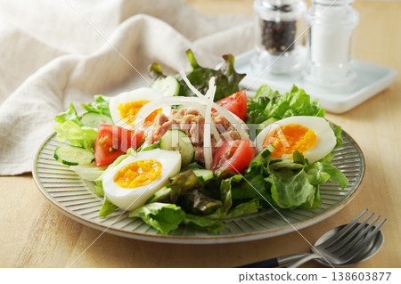 色彩繽紛的鮪魚沙拉 138603877