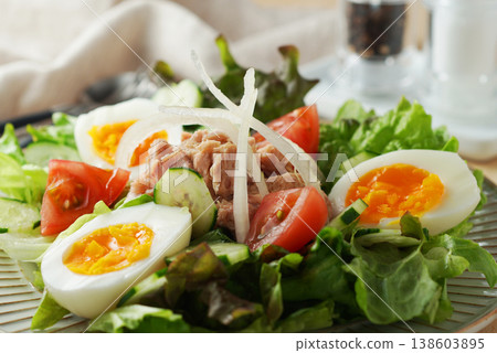 Colorful Tuna Salad 138603895