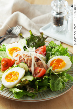 Colorful Tuna Salad 138603898