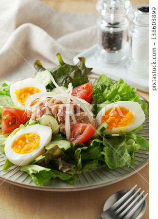 色彩繽紛的鮪魚沙拉 138603899