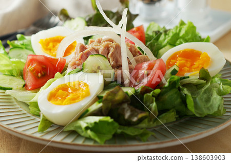 Colorful Tuna Salad 138603903