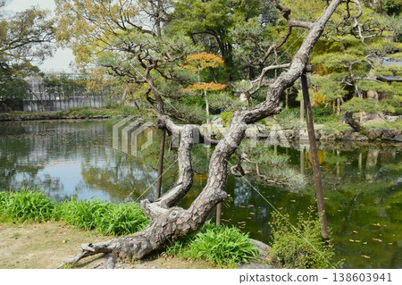 天山花園 138603941