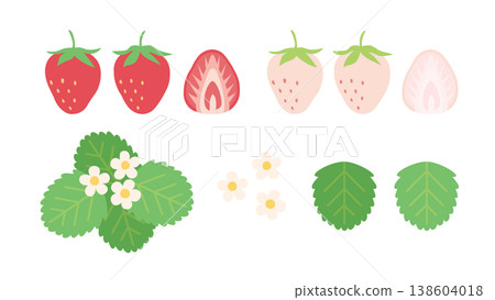 簡單可愛的草莓裝飾插圖套裝:白色草莓、花朵和葉子、草莓橫切面、草莓切片。 簡單可愛的草莓裝飾插圖套裝:白色草莓、花朵和葉子、草莓橫切面、草莓切片。 138604018