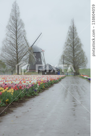 A park with a windmill 138604059