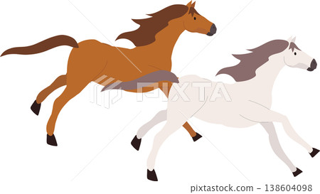 running horse. brown and white horses galloping 138604098