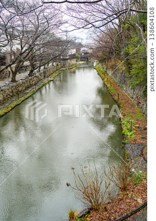 Cherry blossoms in the river Cherry blossoms in the river 138604108