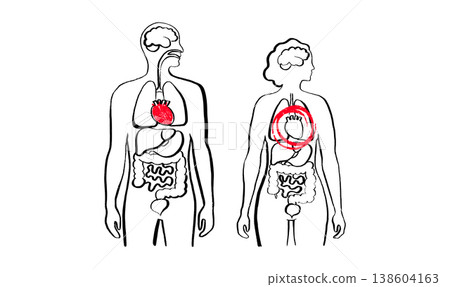 Human heart sketch Human heart sketch 138604163