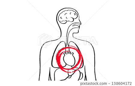 Human heart sketch Human heart sketch 138604172
