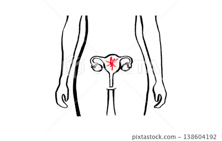 Female reproductive system 138604192