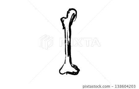 Organs Sketch Bone Organs Sketch Bone 138604203
